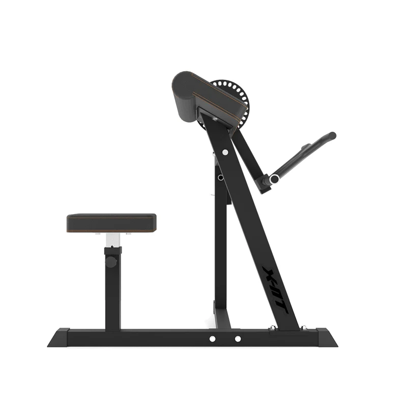 Banca Scott pt flexii biceps şi triceps (max. 120 kg) inSPORTline X-NT BT20 IN28152 2