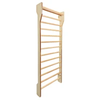 Spalier (max. 130 kg) 240x90 cm, 13 bare inSPORTline Shapemar IN30418 2