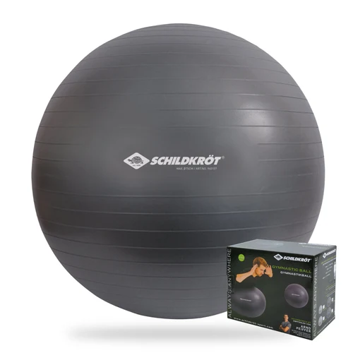 Minge gimnastica cu pompa d=85 cm (max. 120 kg) Donic Schildkrot 960158 (13825)