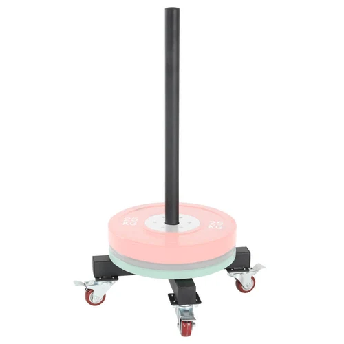 Suport pt discuri olimpice d=50 mm (max. 200 kg) inSPORTline Welo IN21700