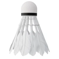 Fluturas badminton pana (6 buc.) Nils NBL6206 14-30-132 (14261) 2