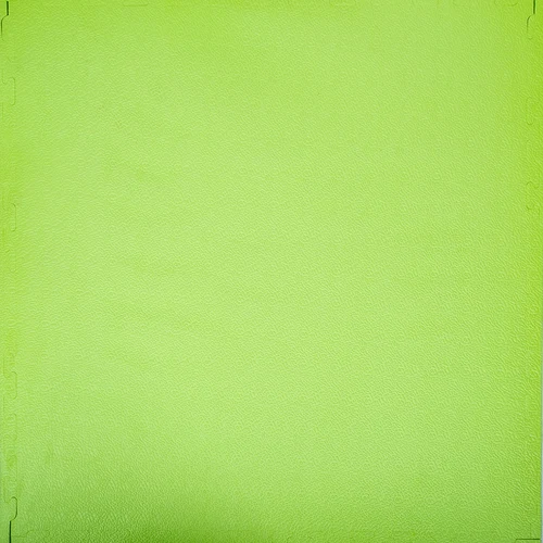 Covor de protectie 100x100x2 cm inSPORTline Zemalpro IN30776-1 grass