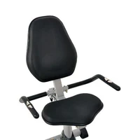 Bicicleta fitness orizontala (max. 130 kg) inSPORTline Rapid 5561 (3476) 2