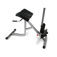 НЕТ В SEVEN Скамья для гиперэкстензии (макс. 140 кг) inSPORTline Body Craft F670 8258 (4065)