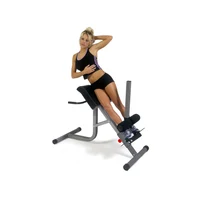 НЕТ В SEVEN Скамья для гиперэкстензии (макс. 140 кг) inSPORTline Body Craft F670 8258 (4065) 4
