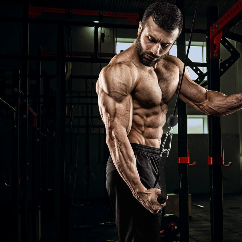 Sistem de scripeti pt cabluri de suspensie (max. 160 kg) inSPORTline Puley 100 22981 (6186) 7