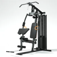 Мультистанция (макс. 120 кг) inSPORTline ProfiGym C35 26321 (11885) 6