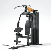 Мультистанция (макс. 120 кг) inSPORTline ProfiGym C45 25975 (10555) 2