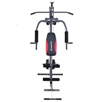 Мультистанция (макс. 100 кг) inSPORTline ProfiGym N10 7185 (2859) 2