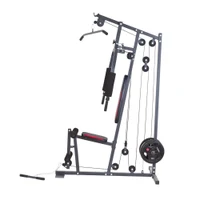 Мультистанция (макс. 100 кг) inSPORTline ProfiGym N10 7185 (2859) 3
