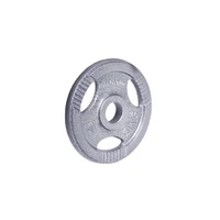 Диск металлический с ухватами 5 кг, d=30 мм inSPORTline Hamerton 12710 (701) 2