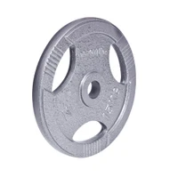 Диск металлический с ручками 15 кг, d=30 мм inSPORTline Hamerton 12712 (1177) 2