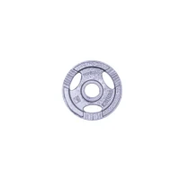 Диск из металла c ручками 1.25 кг, d=50 мм inSPORTline Hamerton 12701 (1175)