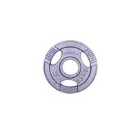 Диск из металла c ручками 2.5 кг, d=50 мм inSPORTline Hamerton 12702 (1176)