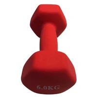 Gantera mat (1 buc.) 6 kg (4558) 2