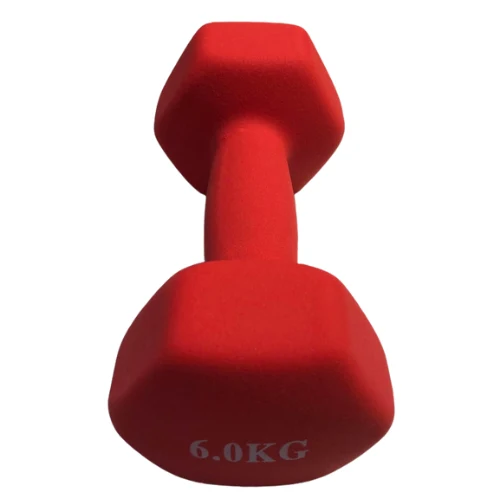 Gantera mat (1 buc.) 6 kg (4558)