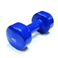 Gantera vinil (1 buc.) 4 kg HMS 17-47-006 (1471)