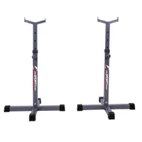 Стойка для штанги inSPORTline PW10 7241 (7287) 2