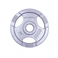 Диск металлический 15 кг, d=50 мм inSPORTline Hamerton 12705 (2736)