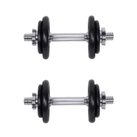 Набор гантелей 2x10 кг inSPORTline Diplomat 565 (5568) 2