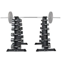 НЕТ В SEVEN Набор хромированных гантелей на 2 стойках (12 пар от 2 до 14 кг) inSPORTline Crossteel IN2137-SADA 2