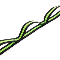 Banda pentru stretching 230х2.5 cm F040 (471) 2