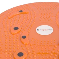 Disc plastic "Sanatate" d=25 cm (max. 100 kg) inSPORTline Magnetic 483 (11537) 2