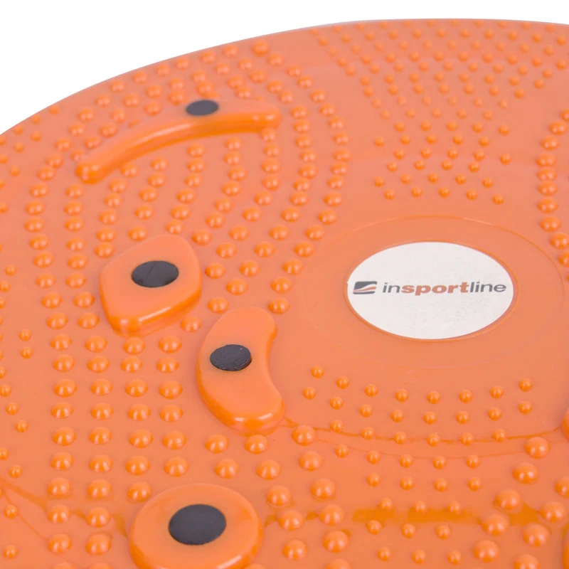 Disc plastic "Sanatate" d=25 cm (max. 100 kg) inSPORTline Magnetic 483 (11537) 2