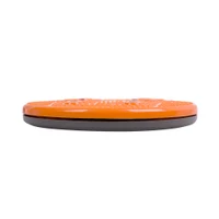 Disc plastic "Sanatate" d=25 cm (max. 100 kg) inSPORTline Magnetic 483 (11537) 3