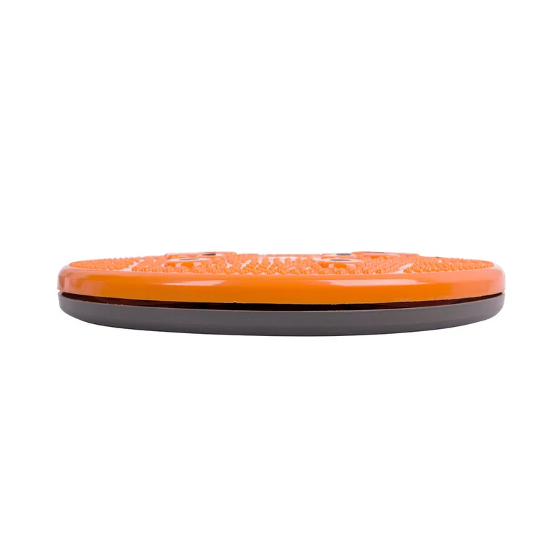 Disc plastic "Sanatate" d=25 cm (max. 100 kg) inSPORTline Magnetic 483 (11537) 3