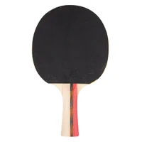 Set pt tenis masa (4 palete + 3 mingi) inSPORTline Ekiset EK2 21553 (7466) 4