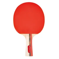 Set pt tenis masa (4 palete + 3 mingi) inSPORTline Ekiset EK2 21553 (7466) 3