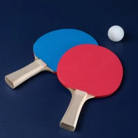 Masa joc 3-in-1 (biliard / tenis / masa de luat) inSPORTline Residento 23796 (6147) 9