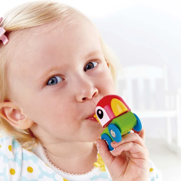 Jucarie educationala "Locomotiva - papagalul care fluiera" 3808 (9893) 4