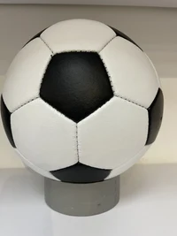 Minge fotbal din piele №5 Classic PRO white (7302) 2