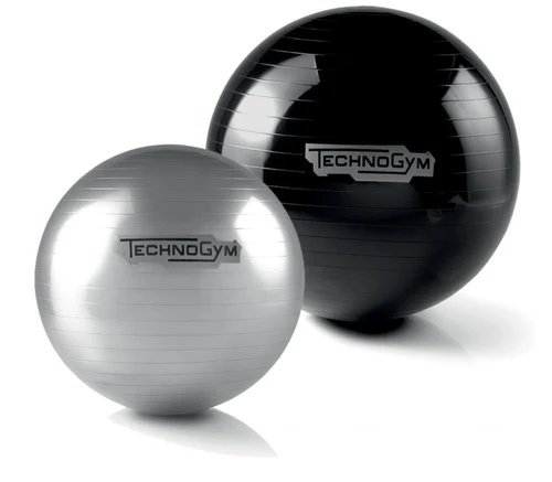 Мяч гимнастический / Фитбол (макс. 160 кг) d=65 см Technogym Wellness Ball Training (4782)