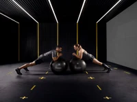 Minge gimnastica (max. 160 kg) d=65 cm Technogym Wellness Ball Training (4782) 3