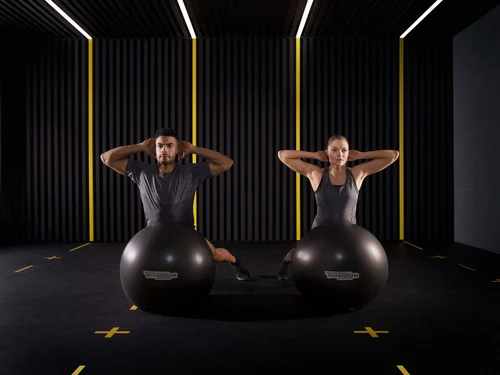 Мяч гимнастический / Фитбол (макс. 160 кг) d=65 см Technogym Wellness Ball Training (4782)