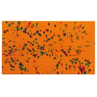 Saltea masaj acupunctura Lyapko "Covoras Mare" 470х255 mm, 7.0 Ag (4711) 3
