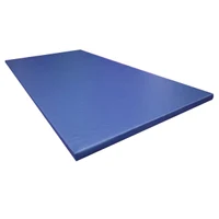 Saltea gimnastica 2*1 m h=5 cm 28 kg/m3 (154)