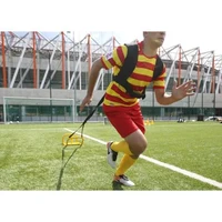 Sanie de antrenament pt incarcatura Yakimasport 100004 4