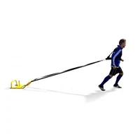 Sanie de antrenament pt incarcatura Yakimasport 100004 2