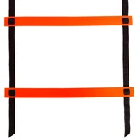 Scara antrenament 6 m C-4606 (6308) 3
