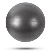 Minge gimnastica cu pompa (max. 200 kg) d=65 cm inSPORTline Stretch Ball 29179-1 black (13003) 2