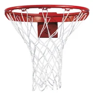 Inel baschet cu amortizator d=48 cm + plasa Sure Shot Flex Goal 270 (5158)