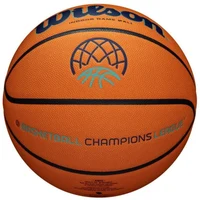 Мяч баскетбольный №7 Wilson EVO NXT CHAMPIONS LEAGUE WTB0900XBBCL (2565) 2