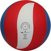 Мяч волейбольный №5 Gala Pro-Line FIVB 5591 (2017) 3