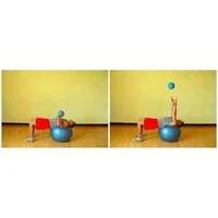 Minge medicinala 5 kg Yakimasport 100265 3