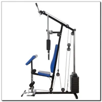 Мультистанция (макс. 100 кг) Hektor 3 Home Gym (2578) 2