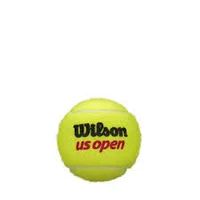 Мяч для большого тенниса (3 шт.) Wilson US Open RD TBall WRT107300 (2164) 2